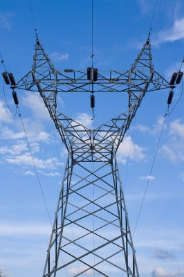 Skoraj dve petini svetovne električne energije prihaja iz elektrarn na premog. Tudi jedrska energija iz goriv, kot je uran, prispeva veliko količino. Edini večji energetski vir za pridobivanje električne energije, ki je trajnosten, dolgoročen, je tekoča voda za hidroenergijo.